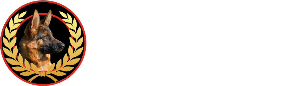 Couver Security trans logo