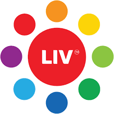 LIV VILLAGE profile picture