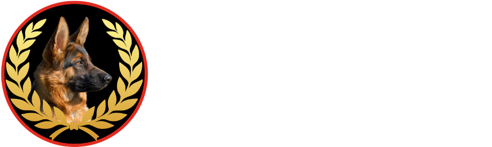 Couver Security logo new